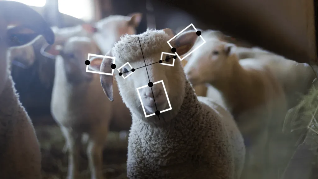 artificial intelligence sheep
