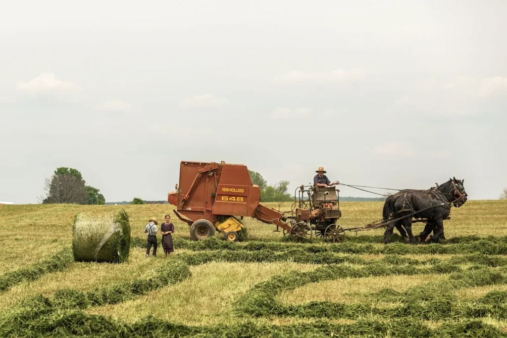 traditional farming method